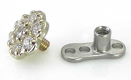 Dicas de Microdermal Piercing